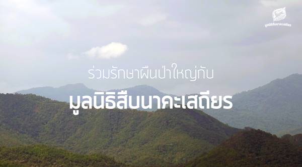 เปิดช่องทางบริจาคสมทบทุน มูลนิธิสืบนาคะเสถียร