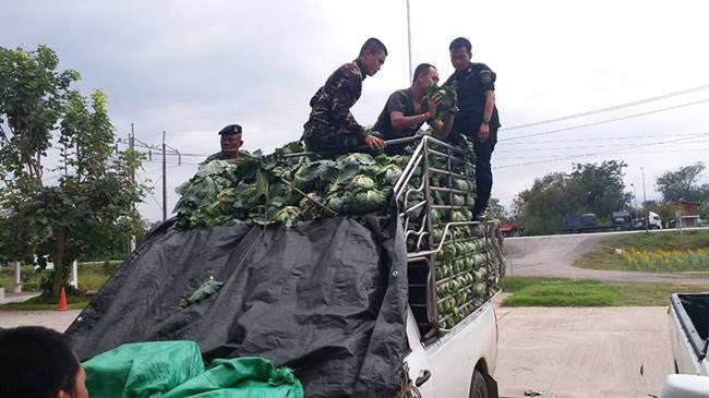 2 ผัวเมีย ซุกยาบ้า 2 ล้านเม็ด