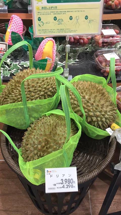 ดราม่าทุเรียนอ่อน