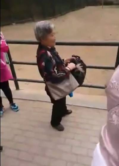 วงจรปิดสวนสัตว์จับภาพ ยายแอบดึงขนอูฐใส่กระเป๋า