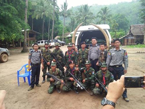 งาช้างแกะสลักอายุ 400 ปี