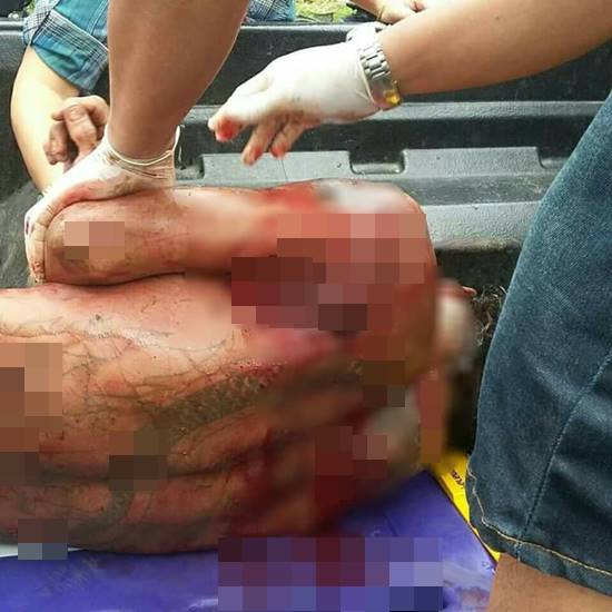 หนุ่มหยอกหมีควาย เจอลากลงไปขย้ำในคอก