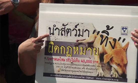 พบวัดเลี้ยงสุนัขกว่า 500 ตัว พระรับภาระอ่วม วอนอย่านำมาปล่อยเพิ่ม