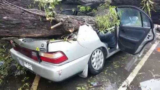 ระทึก ! ฟ้าผ่าเปรี้ยงใส่ต้นมะขาม 2 ครั้งซ้อน หักโค่นทับรถจนแบนแต๋ดแต๋