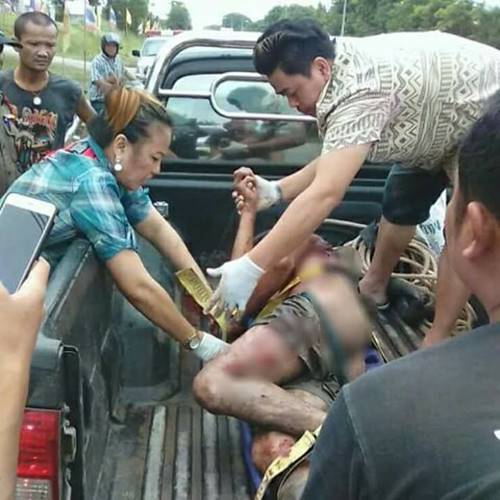 หนุ่มหยอกหมีควาย เจอลากลงไปขย้ำในคอก