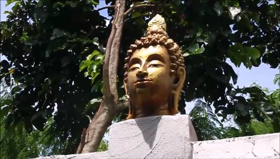 ดูหมิ่นพระพุทธศาสนา