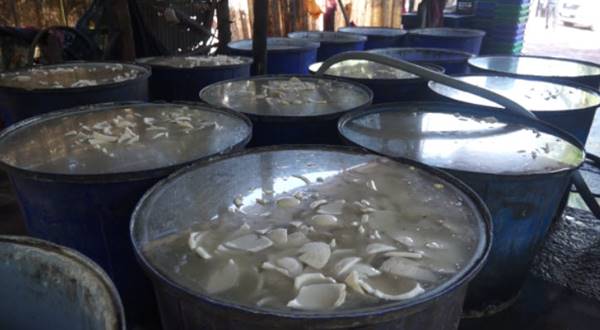 โรงงานวุ้นมะพร้าว