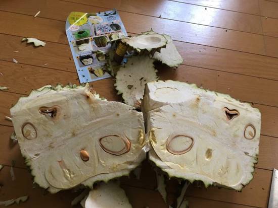 ดราม่าทุเรียนอ่อน