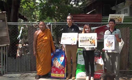 พบวัดเลี้ยงสุนัขกว่า 500 ตัว พระรับภาระอ่วม วอนอย่านำมาปล่อยเพิ่ม