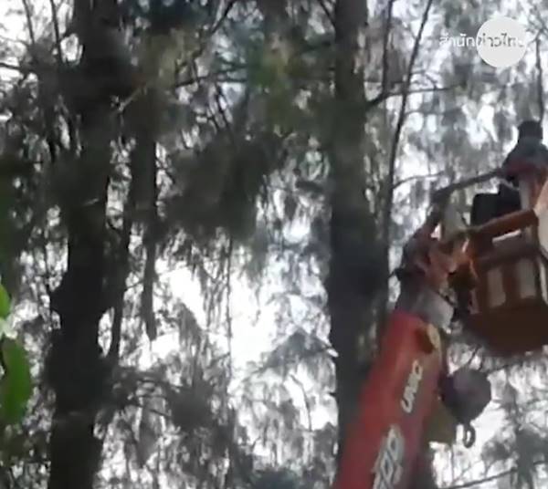 ช่วยนักบิน