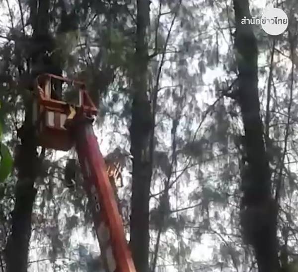 ช่วยนักบิน