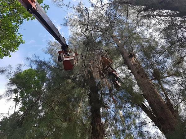 ช่วยนักบิน