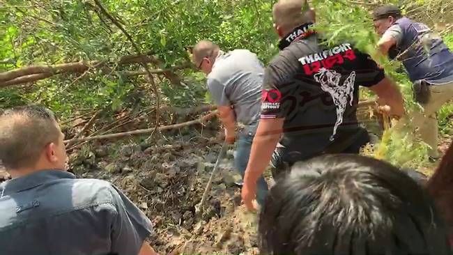 ฆ่าาหั่นศพ นวลปราง บุนนาค