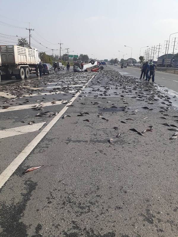 รถขนปลาคว่ำ