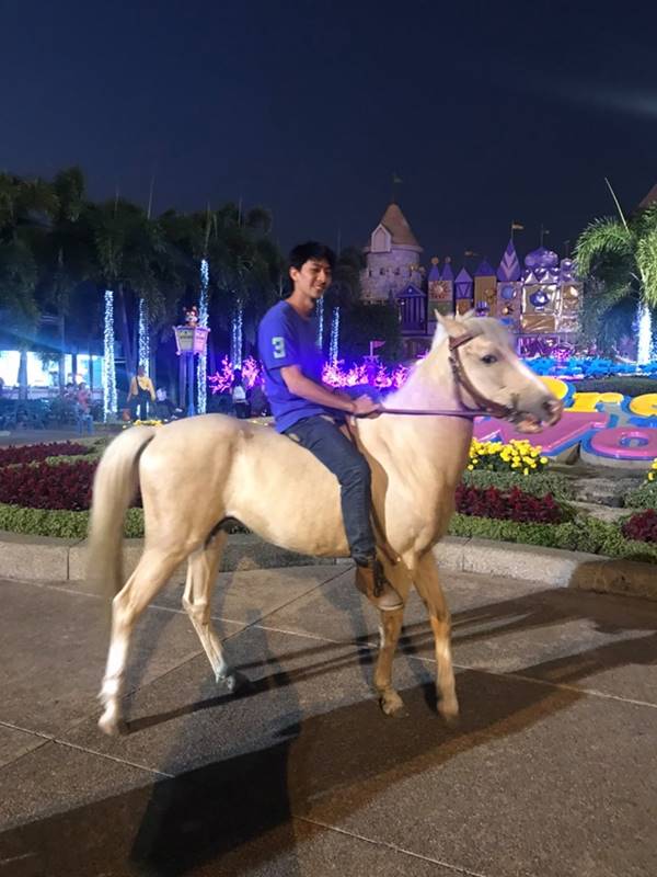  ขี่ม้าไปดรีมเวิลด์