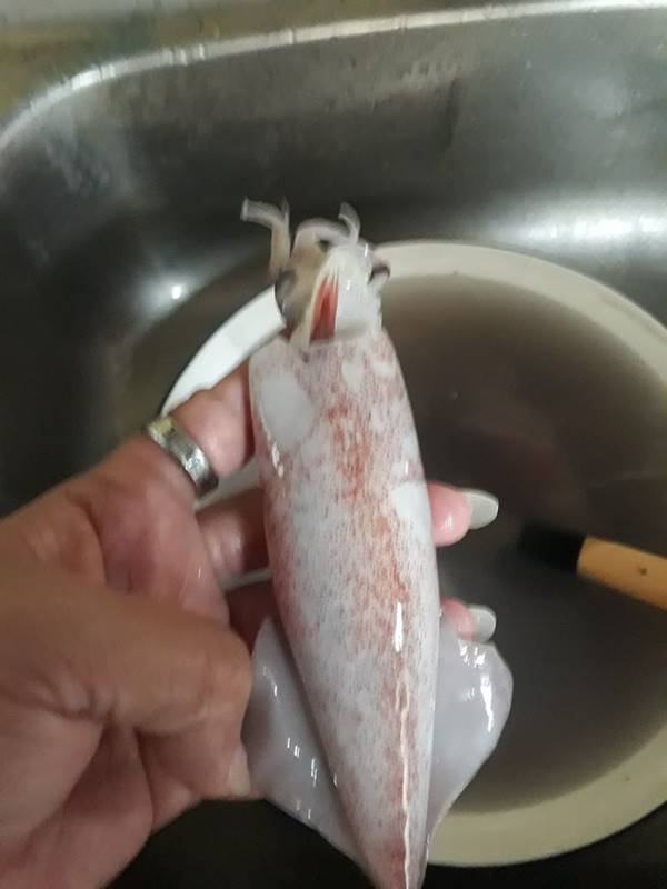 ปลาหมึกยัดไส้