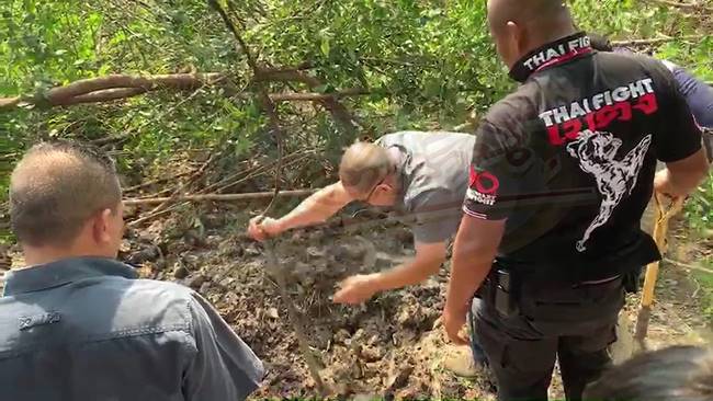 ฆ่าาหั่นศพ นวลปราง บุนนาค