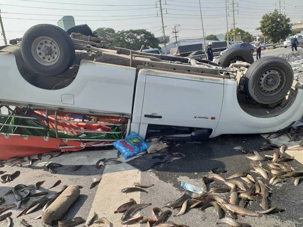 รถขนปลาคว่ำ