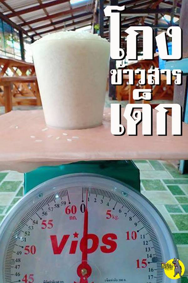 โกงอาหารกลางวัน