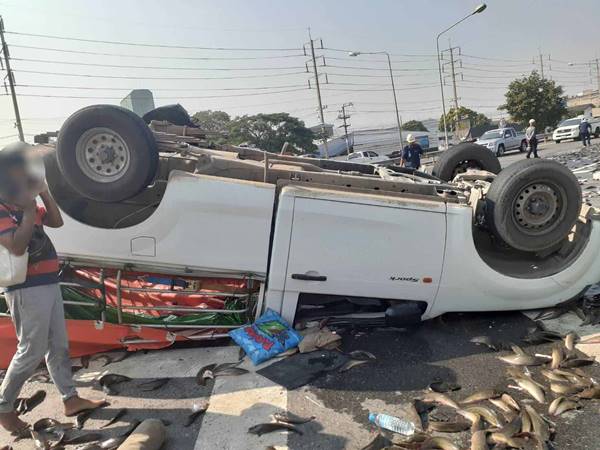 รถขนปลาคว่ำ