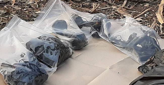 ฆ่าฝังดิน