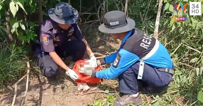 ช้างกระทืบคน