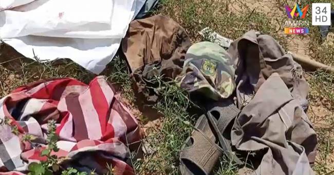 ช้างกระทืบคน