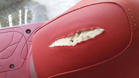 พยายามเลิศ !! หนุ่มหื่นกรีดเบาะมอเตอร์ไซค์เป็นรู สำเร็จความใคร่อย่างชิล