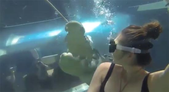 สาวใจกล้าดำน้ำดูจระเข้ที่ออสเตรเลีย ปรากฏภาพช็อตเด็ดที่เป๊ะเว่อร์