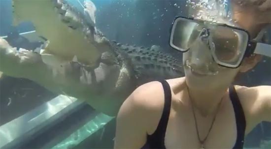 สาวใจกล้าดำน้ำดูจระเข้ที่ออสเตรเลีย ปรากฏภาพช็อตเด็ดที่เป๊ะเว่อร์