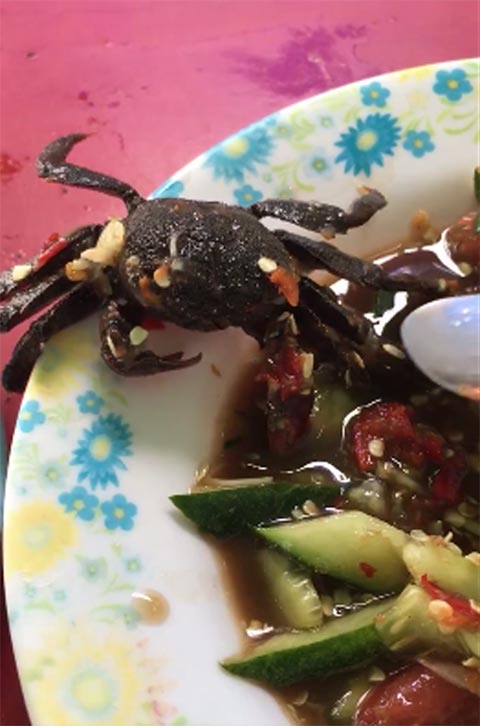 แชร์ว่อน คลิปตะลึงส้มตำใส่ปูสด ๆ ชาวเน็ตสงสัยเรื่องจริงหรือจัดฉาก