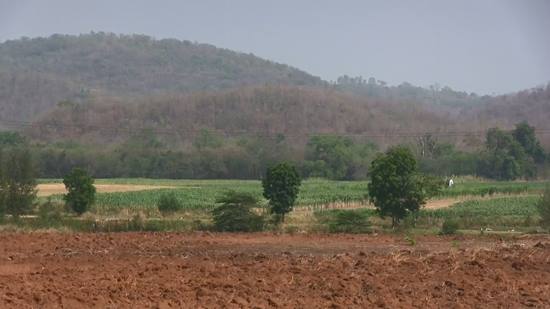 เร่งตรวจสอบ ฟาร์มโชคชัย ออกโฉนดทับที่สาธารณะ ทุ่งรกฟ้า