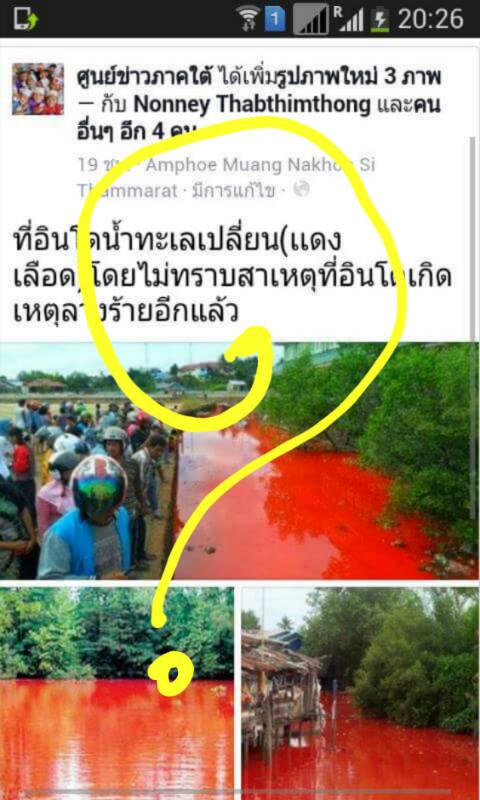 ภาพน้ำทะเลสีเลือด 