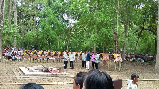 พิธีเลี้ยงดงเชียงใหม่ 2558