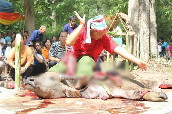 พิธีเลี้ยงดงเชียงใหม่ 2558