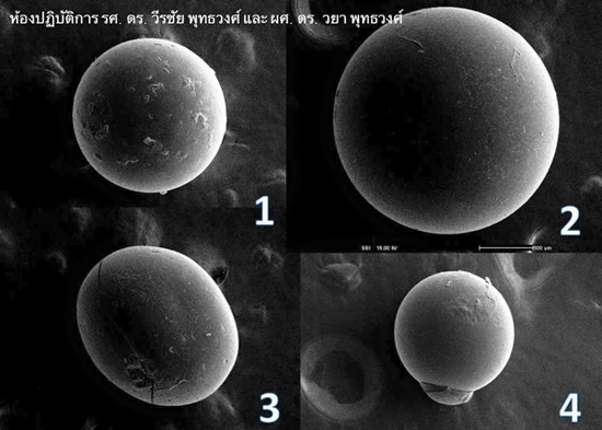 นักวิทย์ฯ เผยผลพิสูจน์ชัด เลือดพระตกผลึกคล้ายเม็ดพระธาตุ