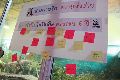 ข่าวดี ! หลินปิง ท้องแล้ว รับฉลองวันเกิดอายุครบ 6 ปี