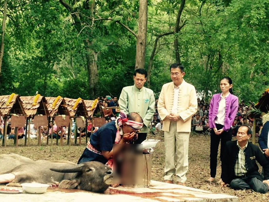 พิธีเลี้ยงดงเชียงใหม่ 2558