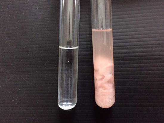 ตะลึง ! เจอปลาดิบย้อมสีในร้านอาหารญี่ปุ่นเจ้าดัง สีละลายหลังแช่น้ำ 5 นาที