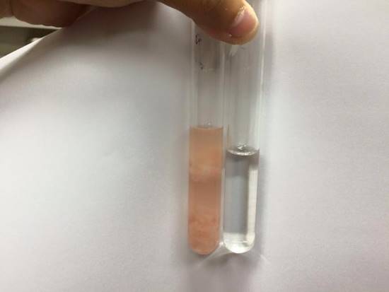 ตะลึง ! เจอปลาดิบย้อมสีในร้านอาหารญี่ปุ่นเจ้าดัง สีละลายหลังแช่น้ำ 5 นาที