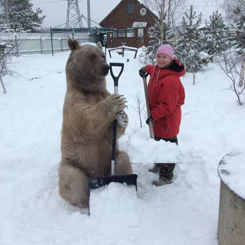 คนอะไรอยู่กับหมี ! พบครอบครัวที่อยู่ร่วมกับหมีมา 23 ปี สมาชิกตัวนี้ทั้งใจดี แถมขี้อ้อนสุด ๆ