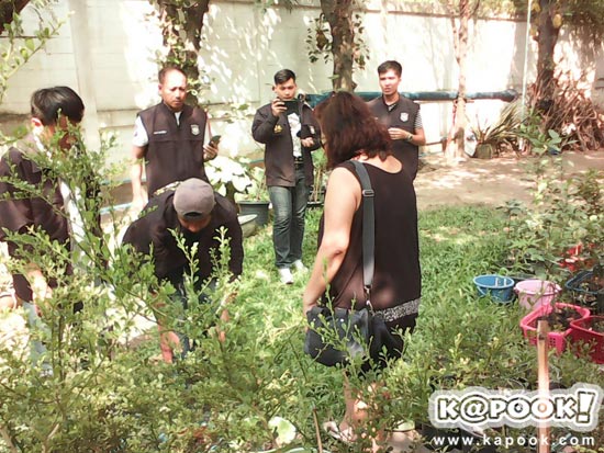 บุกจับไฮโซนามสกุลดัง ลอบปลูกกัญชากว่า 20 ต้น เสพเองในบ้าน