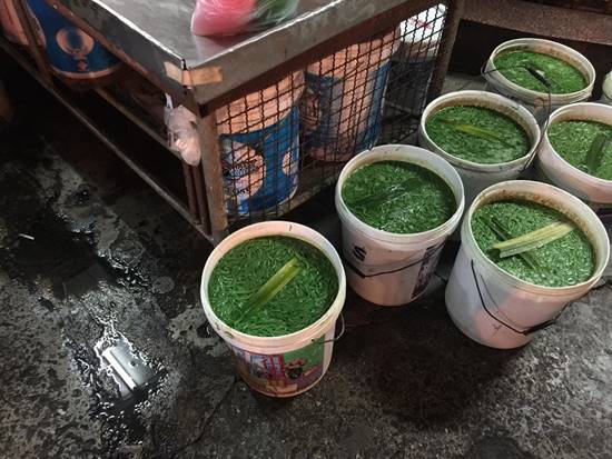 หาดใหญ่เตรียมลุยจัดระเบียบตลาดสด หลังแชร์สนั่นภาพลอดช่องบรรจุถัง 