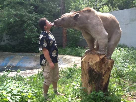 คนอะไรอยู่กับหมี ! พบครอบครัวที่อยู่ร่วมกับหมีมา 23 ปี สมาชิกตัวนี้ทั้งใจดี แถมขี้อ้อนสุด ๆ