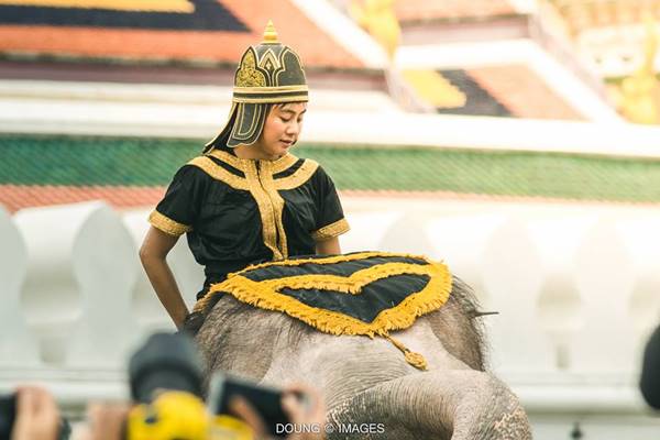 น้องพลอย ควาญช้างสาว ร่วมถวายความลัย ดีกรีสัตวแพทย์-ลูกสาวเจ้าของวังช้างอยุธยาฯ