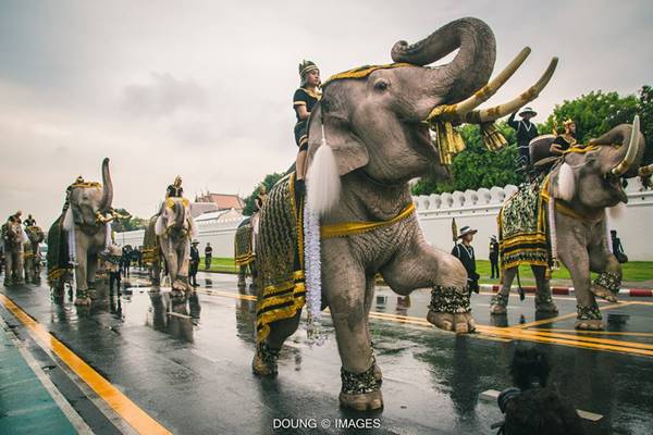 น้องพลอย ควาญช้างสาว ร่วมถวายความลัย ดีกรีสัตวแพทย์-ลูกสาวเจ้าของวังช้างอยุธยาฯ