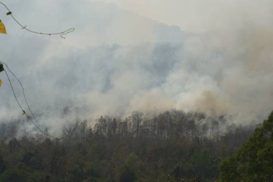 ไฟไหม้ป่าดอยสุเทพ-ปุย จ.เชียงใหม่