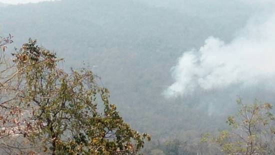 ไฟไหม้ป่าดอยสุเทพ-ปุย จ.เชียงใหม่ 