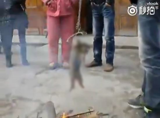 คลิปชาวบ้านจับสัตว์ย่างไฟทั้งเป็น แถมหัวเราะสนุกสนาน