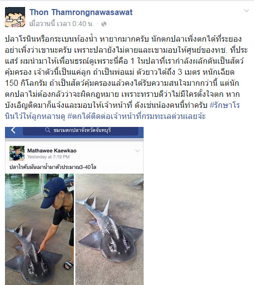 แชร์สนั่น ปลาประหลาดตกได้ที่ระยอง แท้งจริงคือ 